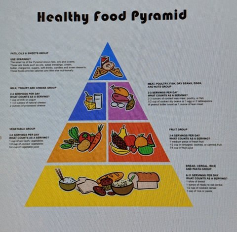 food pyramid.jpg