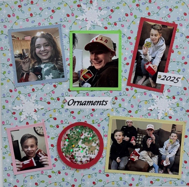 Ornaments 2025.jpg
