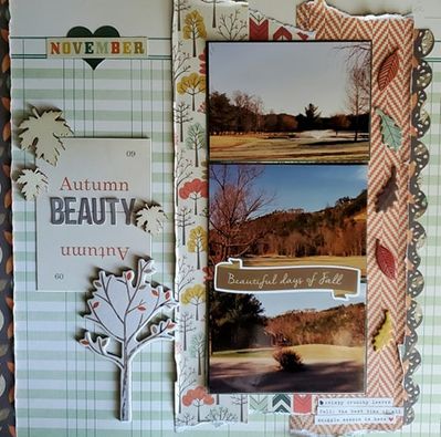 Terri's Lift - April / May 2020 
