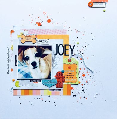 iNSD Challenge #2 Recipe Challenge
A layout of my Joey using Studio Calico's Baxter Collection and Karen Foster Design stickers. 
