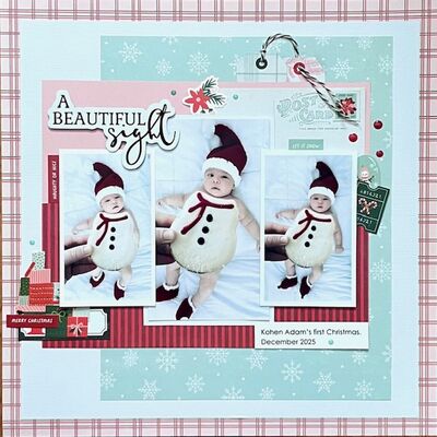 Keywords: Wednesday 12/31 - Sam the Snowman