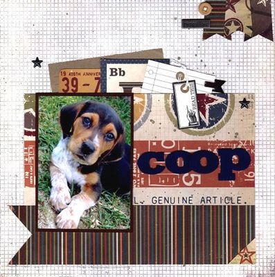 coop-001.jpg