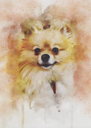 IMG-2341.PNG