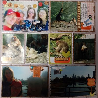 Lincoln Park Zoo - 1
Keywords: zoo