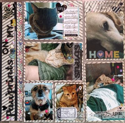 Pawprints on my heart
Keywords: dogs;cats