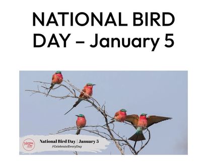 National Bird Day Jan 5
