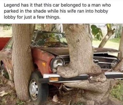 funny 7.2021

