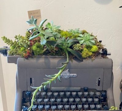 typewriter
