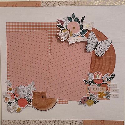 6x8 paper pads
