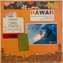 Hawaii_ADA.jpg