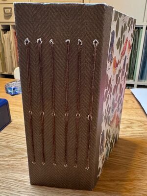 IMG_2907.jpeg