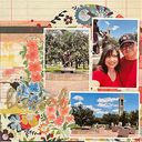 IMG_8534.jpeg
