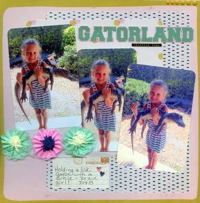 1-gatorland.JPG