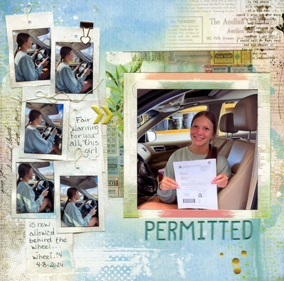 1-permitted.JPG