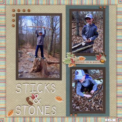 1-sticks_and_stones.JPG