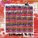 1-learning_to_fly.JPG