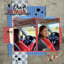 1-trip_details.JPG