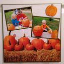 Filename=oct13.jpg
Filesize=78KiB
Dimensions=481x480
Date added=Oct 29, 2018 oct13.jpg