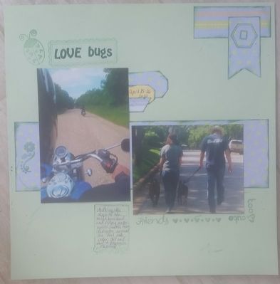 Keywords: Love Bugs