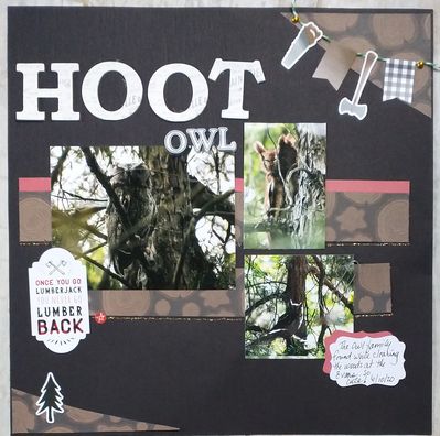 Keywords: Hoot Owl