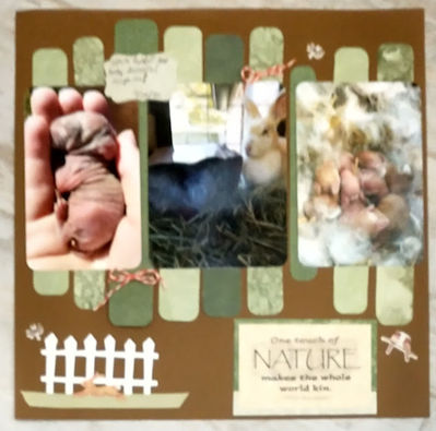 Keywords: Nature