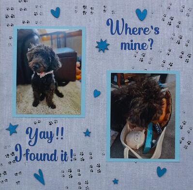 1/16 - The Cement Pond
