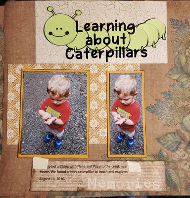 Learning about Caterpillars
Fun day with my  Grandson.  Was great chance to dig in old papers for this layout. These papers are from Paper Pazzazz from 2005.  I remembered how much I loved these back then and am glad to use them again. LOL. The title is my design. I love designing SVGs to use for my layouts.  
