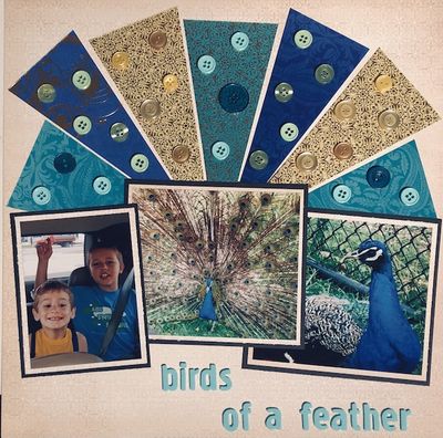 Birds of a Feather
