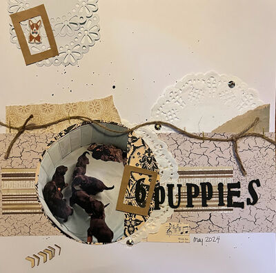 6 Puppies
7/26 Fireworks challenge
Keywords: doilies;gems;frames;string;wood
