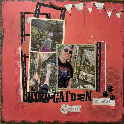Bird Garden of Naples
11/13 Challenge  Betting
Keywords: flag;filmstrip;thickers;buttons;ink;circles;twine