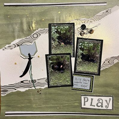 Play
November 29, 2025 challenge
Keywords: ripped paper edges;tag;layers under photos, border strip;buttons;ink;pop dots