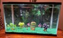 Fishtank.jpg