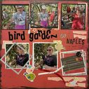 bird_garden.jpg