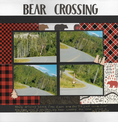 Bear Crossing
These are pictures from 2017. I was driving back from a trip to town by myself & as I came over the top of the mountain pass & came around the corner there was this big black bear getting ready to cross the road! Thankfully there wasn’t anyone behind me so I slowed down & grabbed my cellphone to take pictures. He had been over to the Harris River to fill up on some salmon & was on the way back to his den.  Steve & I have seen him at least once every year since then & he has gotten quite a bit bigger!
Keywords: Bear;Alaska;Scenery;Forest
