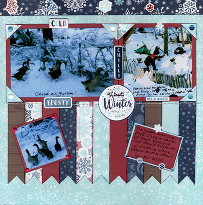 First Winter
These are pictures of our geese in their first winter in 2019.  They took it all in stride which really surprised us.  If their feet got cold, they’d tuck it under a wing and stand on one foot, then switch to the other one.  They even learned how to break through thin ice!  But in the picture on this page the snow was deep on top of the ice on their pond so Steve had to shovel snow off and then use an axe to make a hole so the geese could take their daily bath.  Sketch by Allison Davis.
Keywords: Winter;Snow;Banner;Geese;Farm;Animals