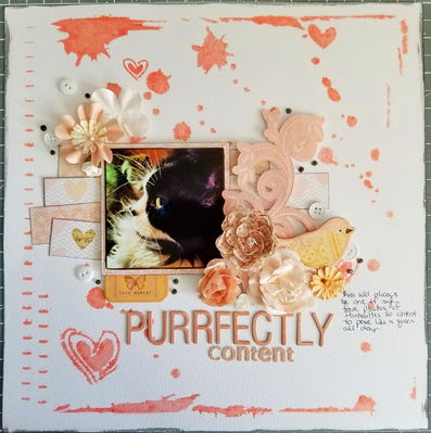 Purrfectly Content
White plus Peach
