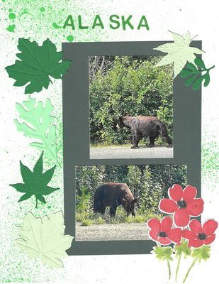 alaska~0.jpg