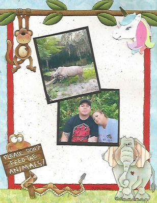 animals
