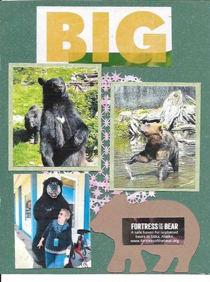 bear2.jpg