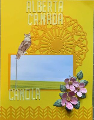 canola.jpg