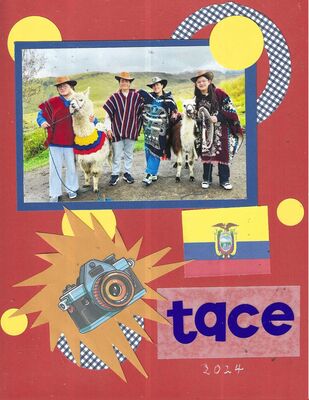 tace2.jpg