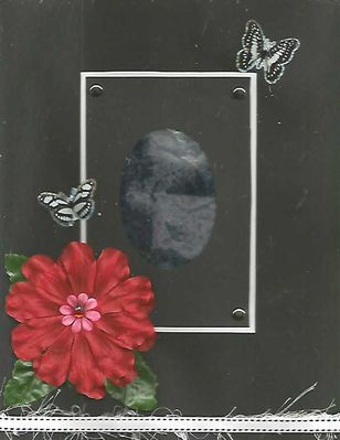tintype
