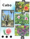 cabo_2.jpg