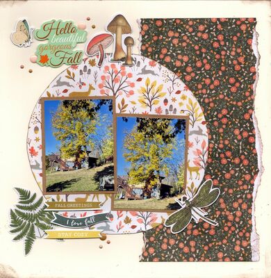 Hello Beautiful Gorgeous Fall - November 28th Challenge
Photos of some of our fall color, November 2025. 

Keywords: American Crafts