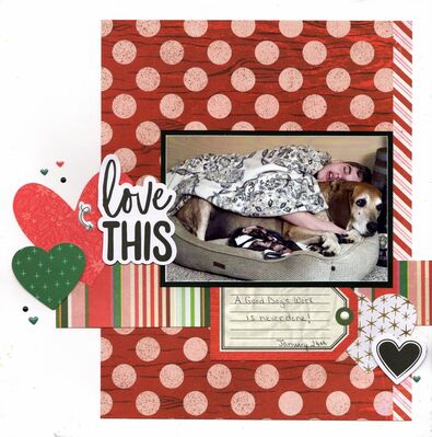 Love This - February 2nd Challenge
Photo of sweet grandson Kellan sleeping with his doggie Bo. The grandkids are also cuddling up to Bo falling asleep in his dog bed. I think they find a great comfort in him. (January 2026)

Keywords: 49 & Market