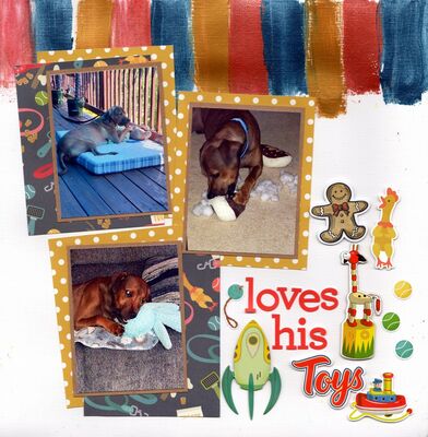 Loves His Toys - December 8th Challenge
Photos of sweet grandpuppy Ridge who loves his toys, August 2025.

Keywords: Simple Stories