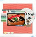 A_Dog_s_Life21.jpg