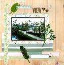 Amazing_View__2.jpg