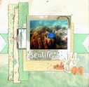 Sealife.jpg