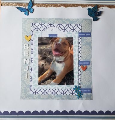 Some where over the rainbow where skies are blu
13th Blue with sparkle . Our granddaughter dog Benji
